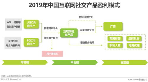 2019年中国互联网社交企业营销策略白皮书 应对用户增长放缓的营销创新