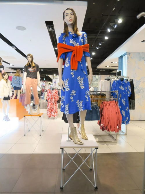 2018春季女装零售市场分析 印花图像的潮流演变与消费洞察